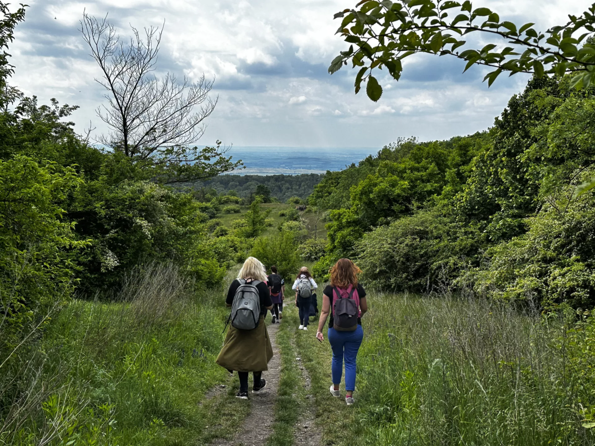 The Way of St. James | South Moravia