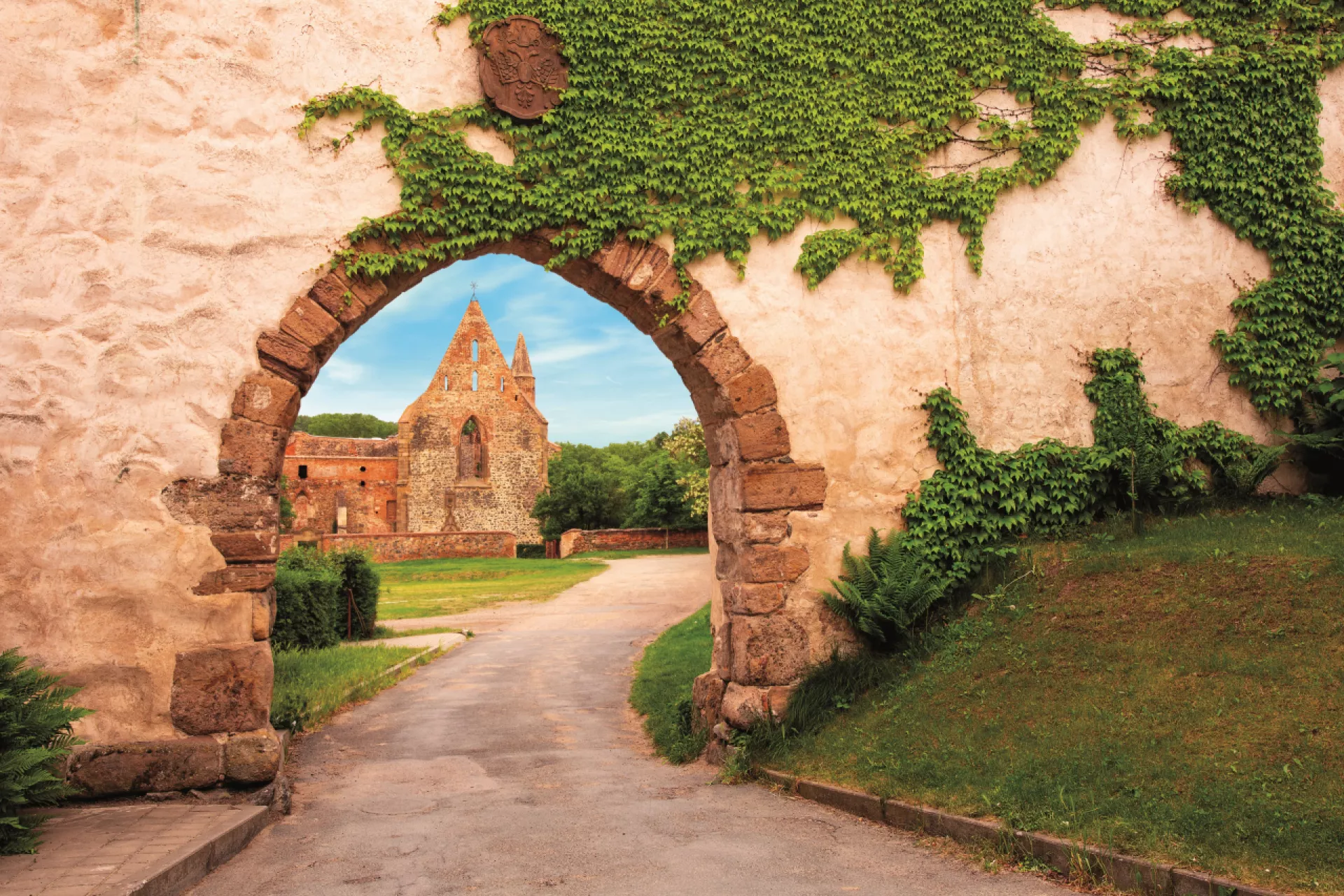 Around Kounice and Ivančice – Wine, Asparagus and Whimsical Summer