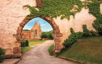 Around Kounice and Ivančice – Wine, Asparagus and Whimsical Summer