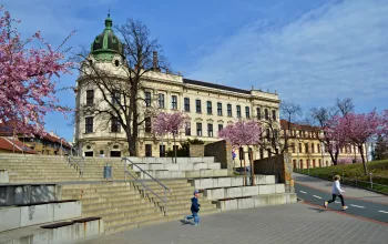 The Town of Vyškov