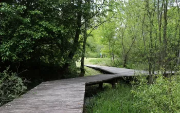 Arboretum in Křtiny
