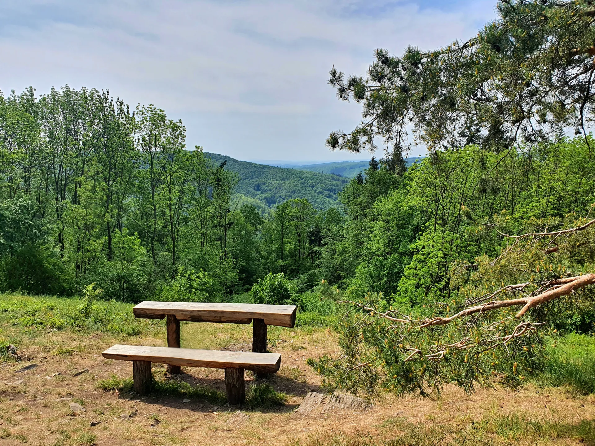 Head up to the Views Above the Deep Forests of Adamov
