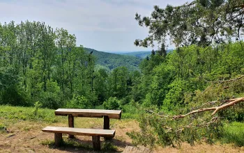 Head up to the Views Above the Deep Forests of Adamov