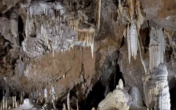 The Punkva Caves