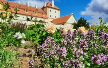 Herb garden Lu & Tiree Chmelar in Valtice