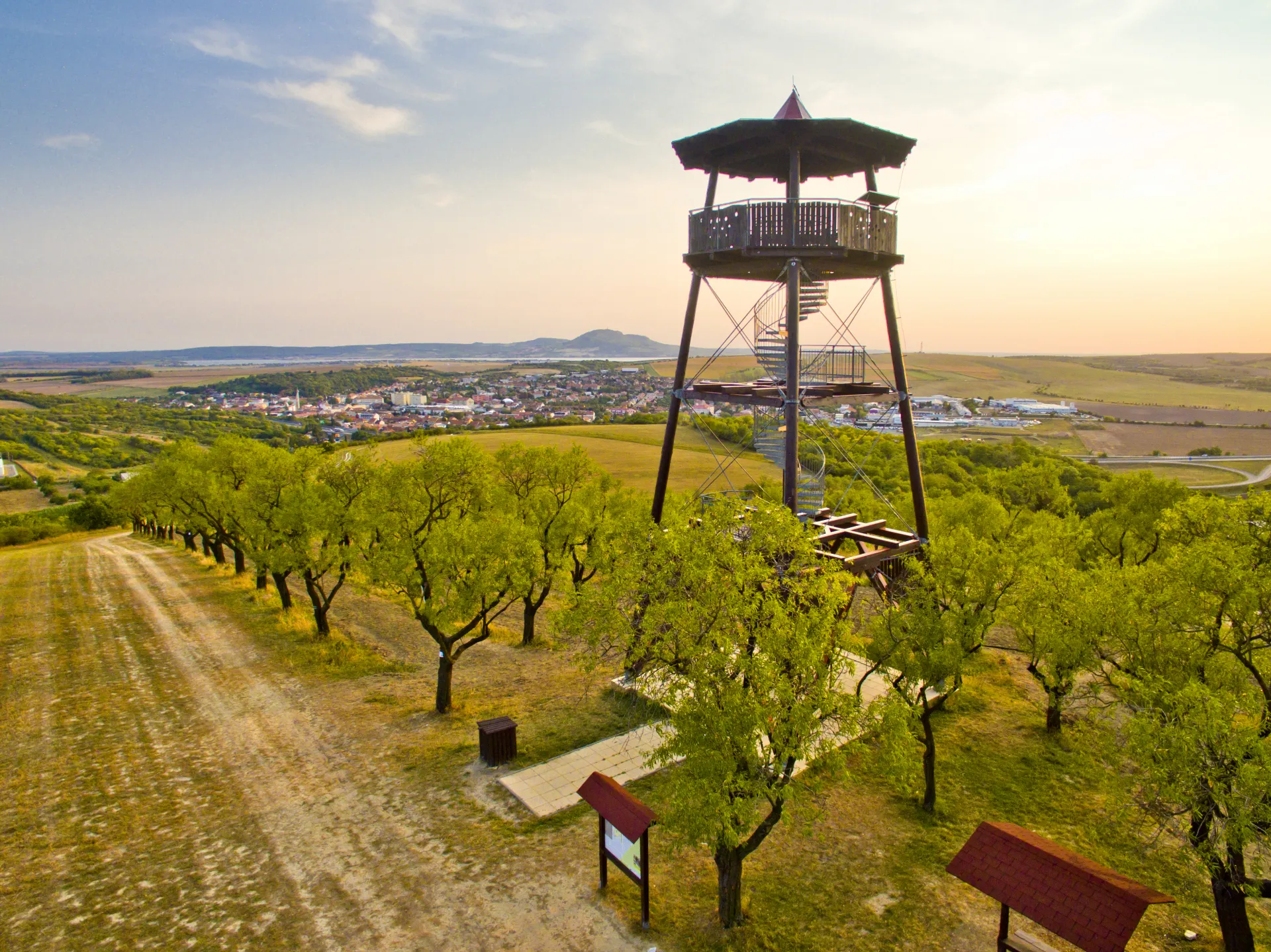 Almond orchard and the lookout tower in Hustopeče