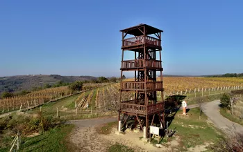 Kraví Hora near Bořetice