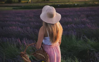 Lavender farm Starovičky