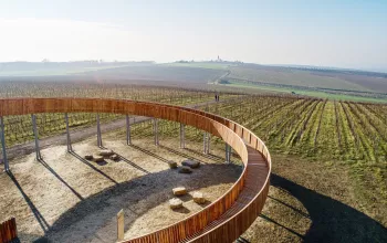 Into Hobbiton and Above the Vineyards