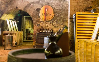 Wine Salon, Valtice Chateau