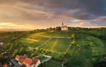 Exploring Slovácko sub-region for exceptional wine and architecture