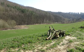 Ždánický Les (Ždánice Forest), Natural Park