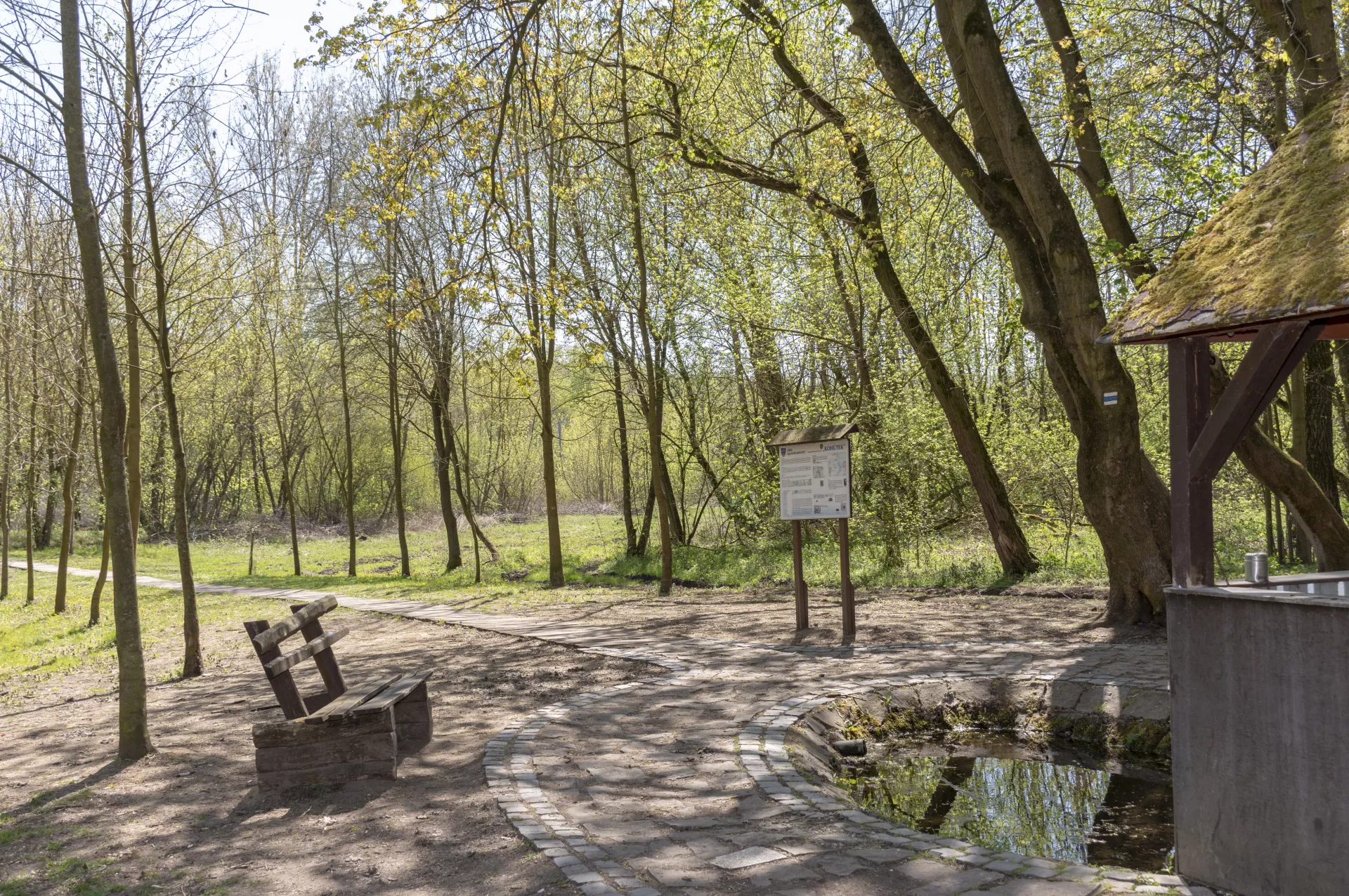 Along Flat Terrain Through Hodonínská Dúbrava (Hodonín Oakwood)