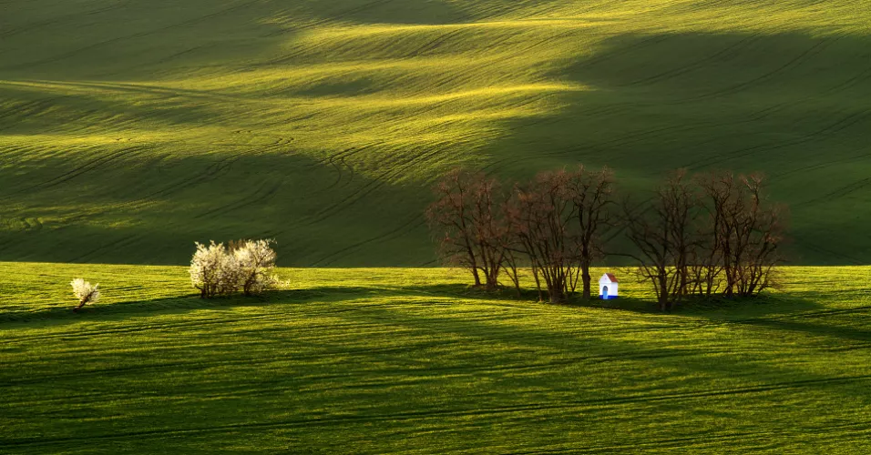 autor: Radek Severa