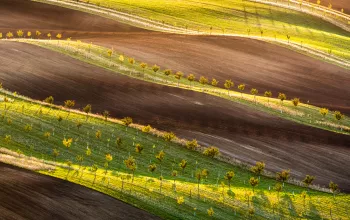 To the Magic Landscape of Moravian Tuscany