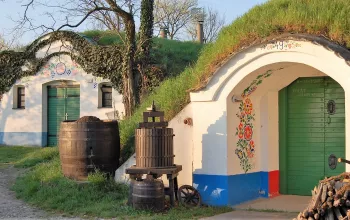 Plže Wine Cellars