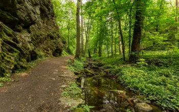 Across the Gránice Stream Valley with Hugo the Salamander