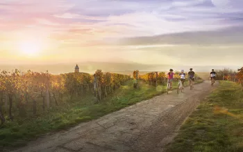 Moravian Wine Trails