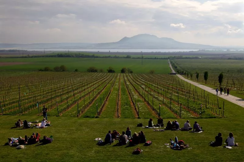 Open Cellars Festival - Spring in Pálava