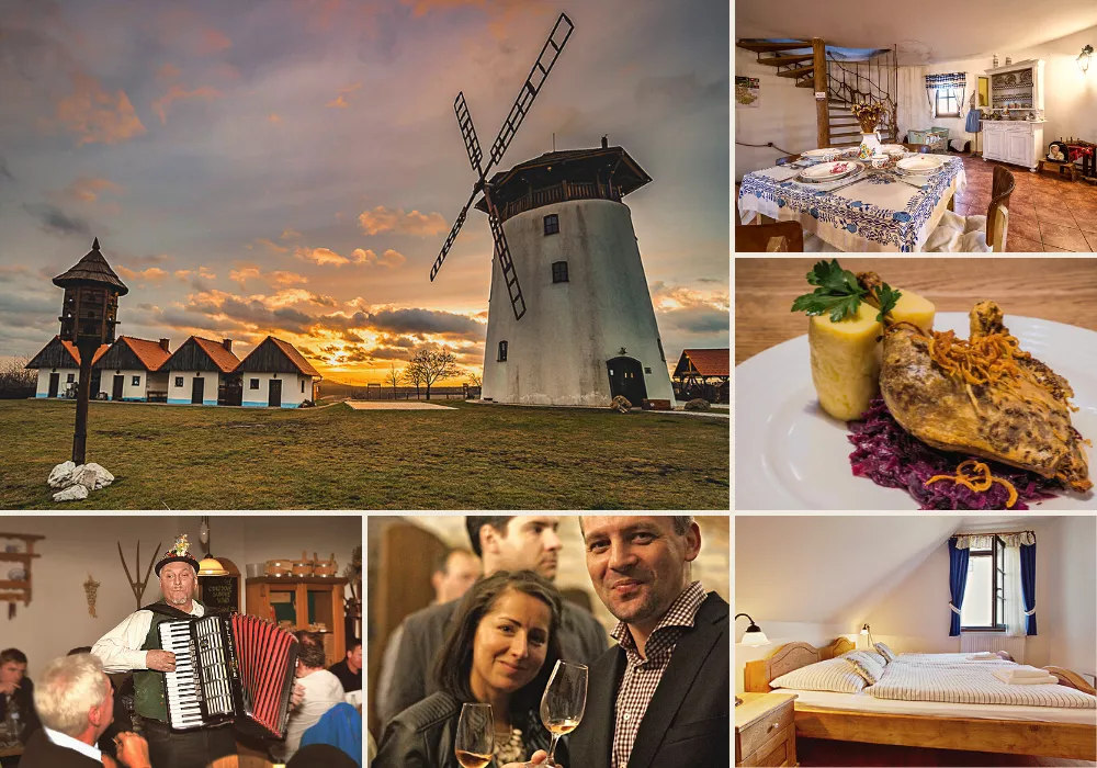 Goose feast and St. Martin's wines
